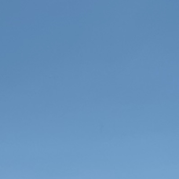 Meet your Posher, Ally - Picture 1 of 1